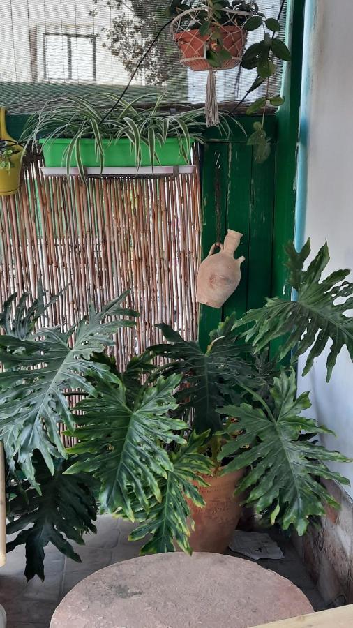 הבית הירוק - Green House อารัด ภายนอก รูปภาพ